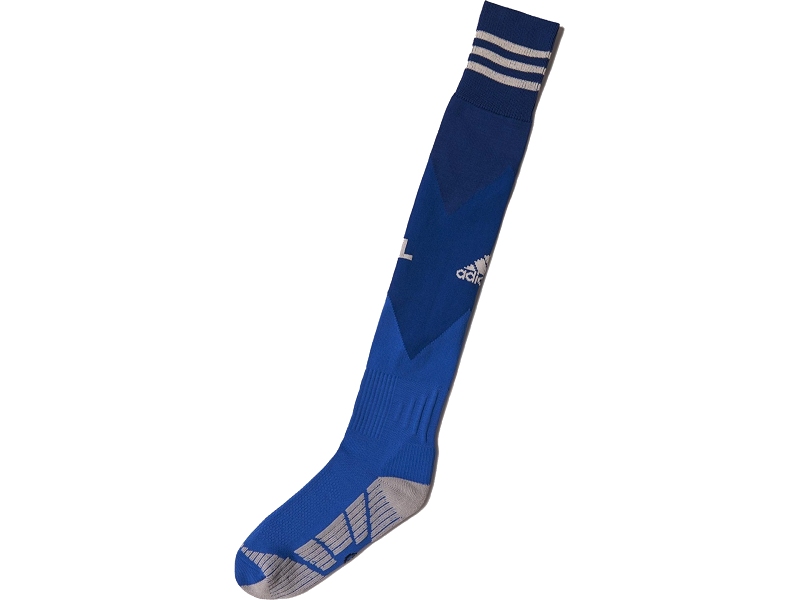 Lyon Adidas football socks