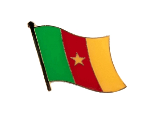 Cameroon pin badge