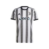 : Juventus - Adidas shirt